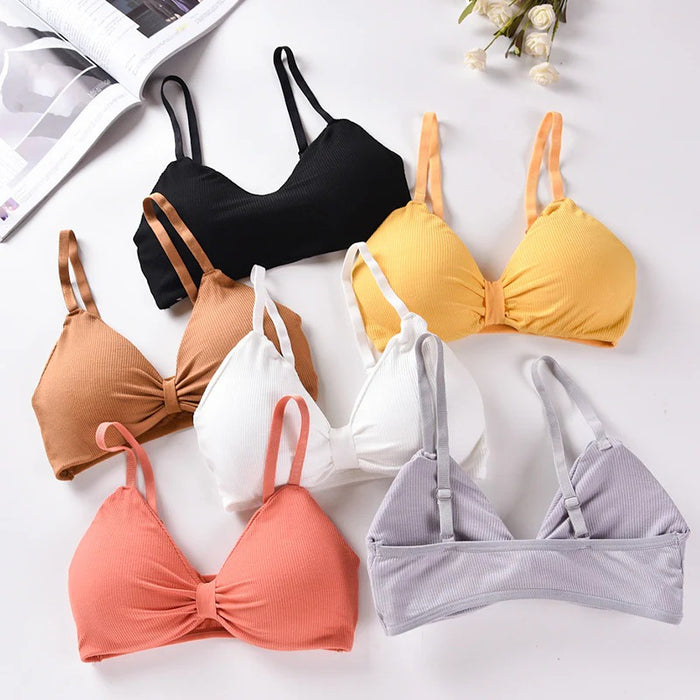 V Cup Light Padded Korean Style Women’s Cotton Seamless Bra