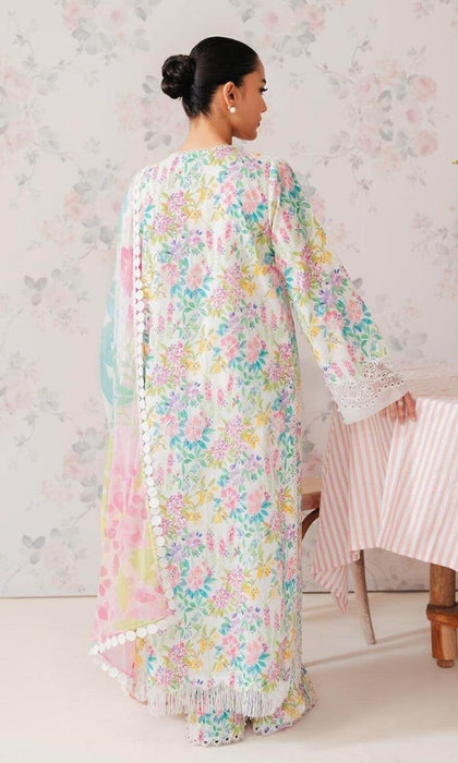 Winter Exclusive Collection 2024_2025 KHAADI PRINTKARI